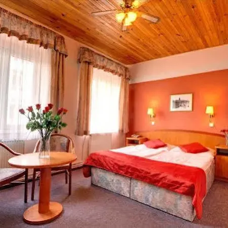 White Lion Hotel Praag